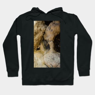 Kissing rocks Hoodie